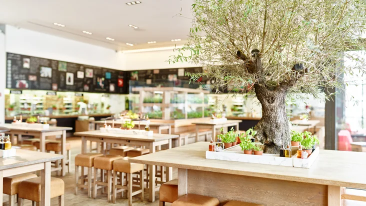 Innenaufnahme vom VAPIANO Bonn mit dem Olivenbaum im Vordergrund.